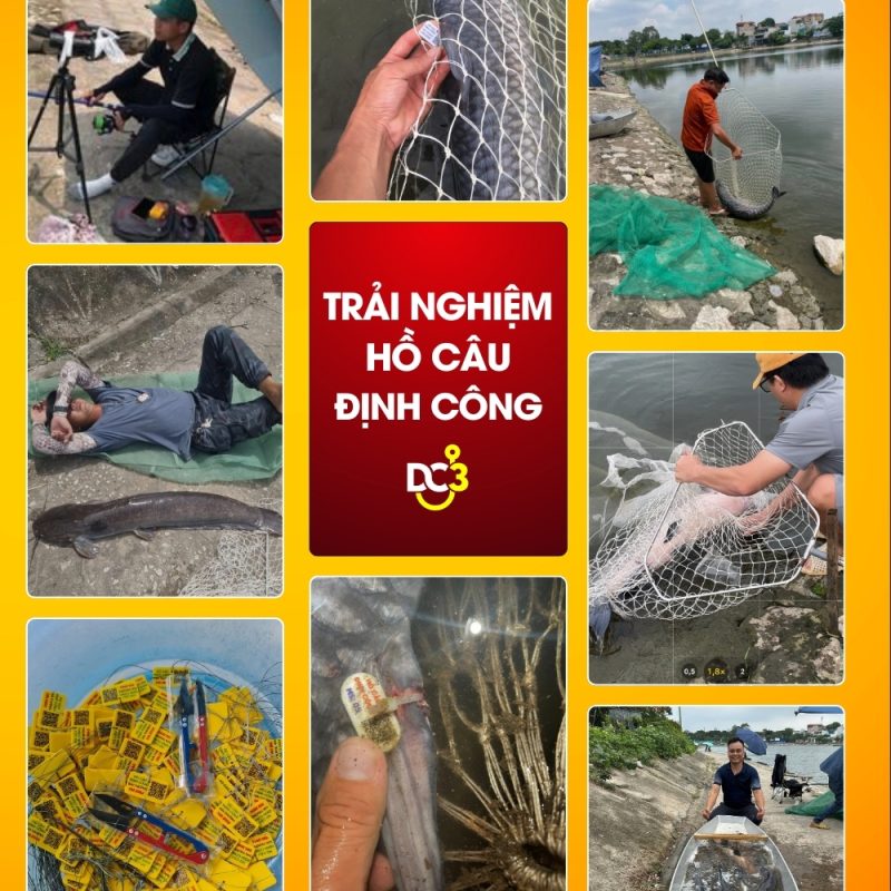 Trải nghiệm săn cá tại Hồ câu Định Công