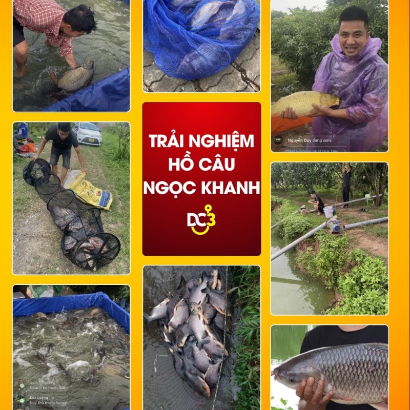 Trải nghiệm câu cá của cần thủ tại Hồ câu dịch vụ Ngọc Khanh