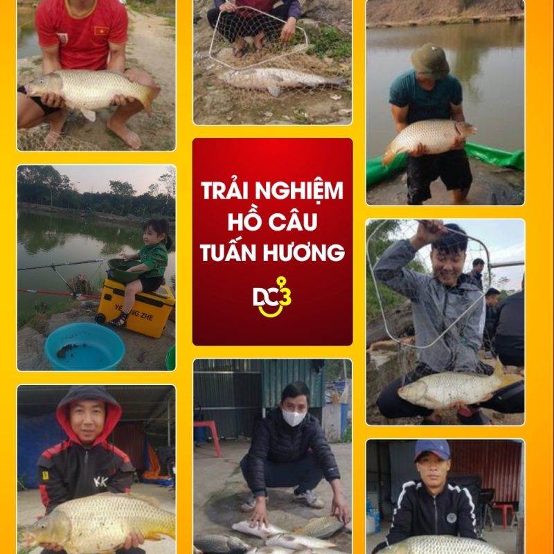 Trải nghiệm săn cá tại Hồ câu Tuấn Hương