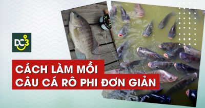 Cách làm mồi câu cá rô phi đơn giản