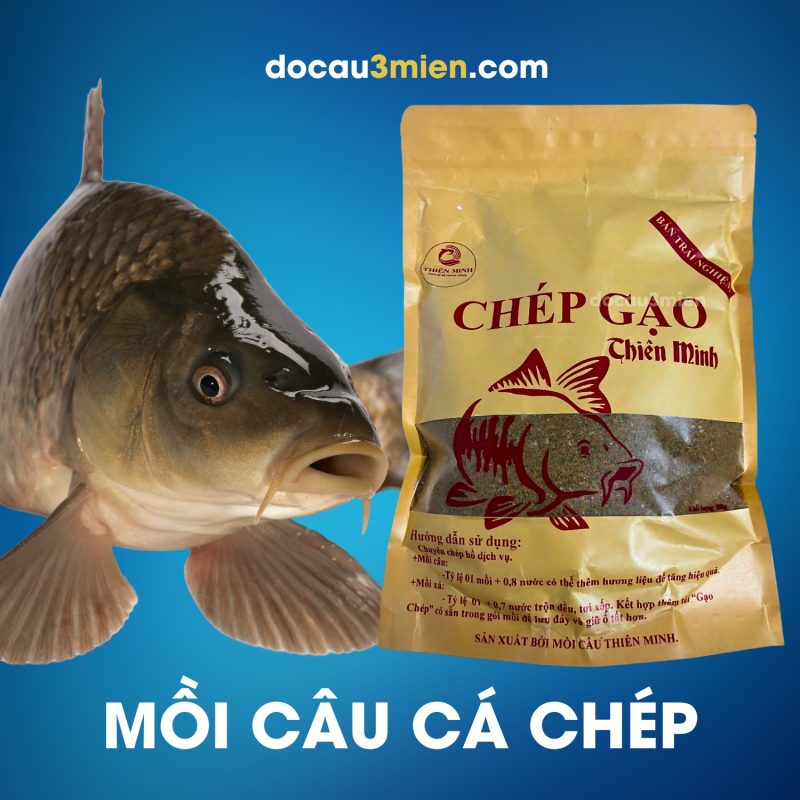 Ủ mồi cấp tốc với mồi câu chép Thiên Minh