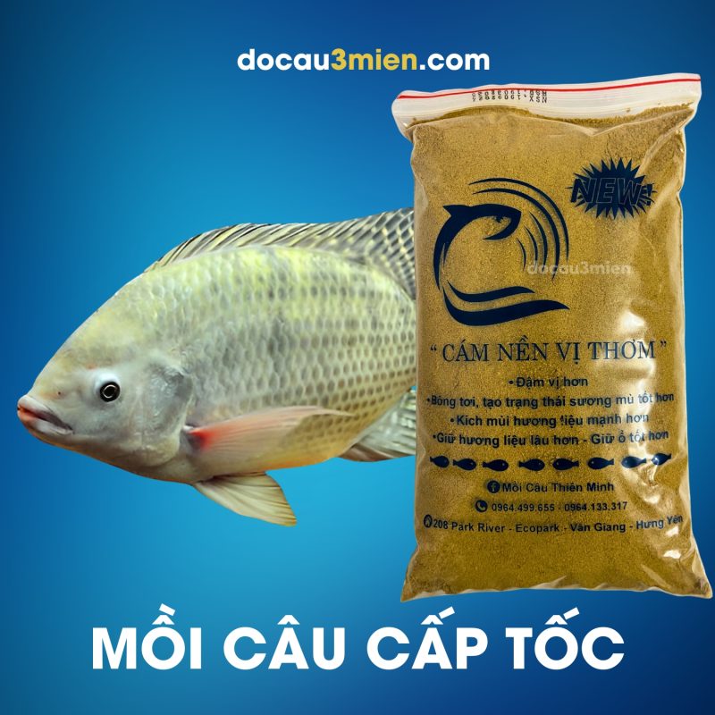 Ủ mồi cấp tốc với Cám nền vị thơm Thiên Minh