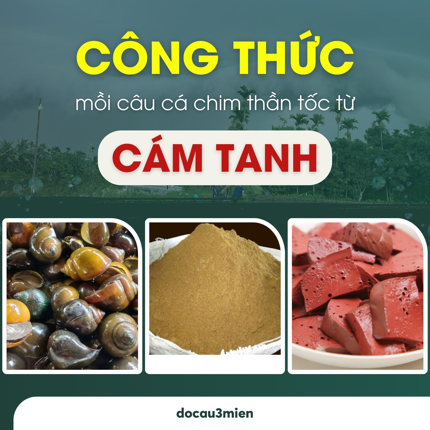 Công thức mồi câu cá chim từ cám tanh thần tốc