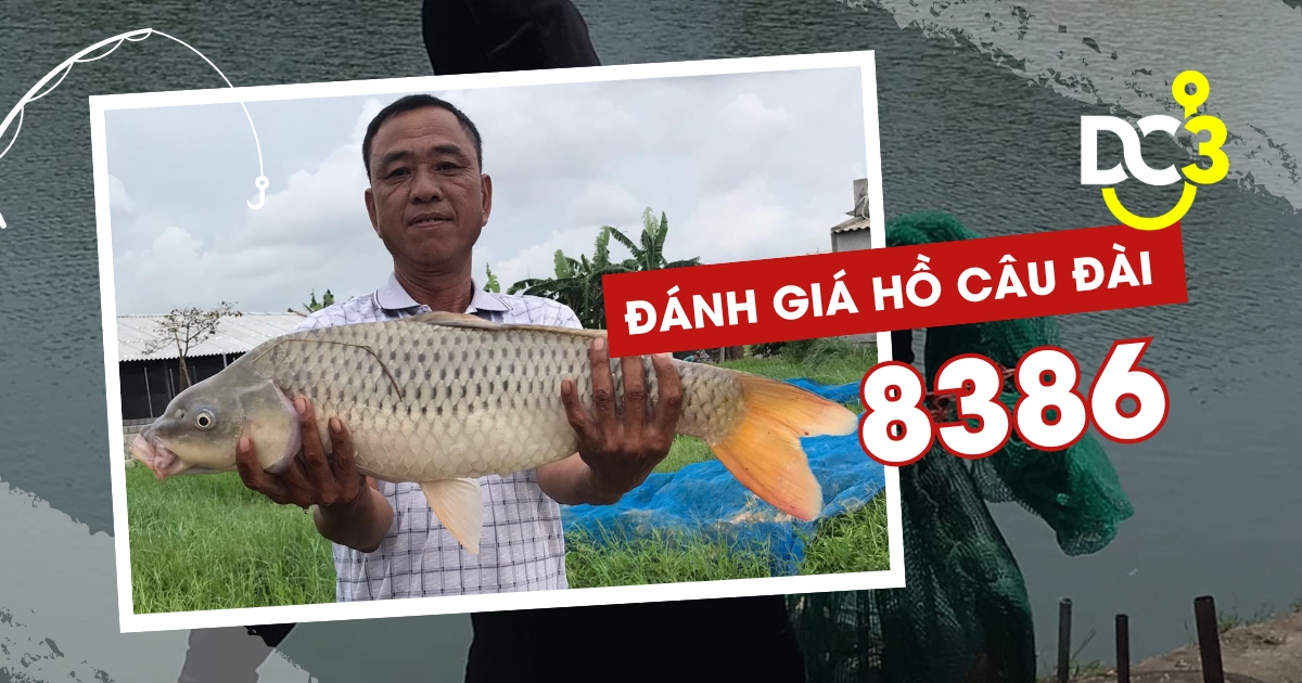 Đánh giá hồ câu dịch vụ 8386