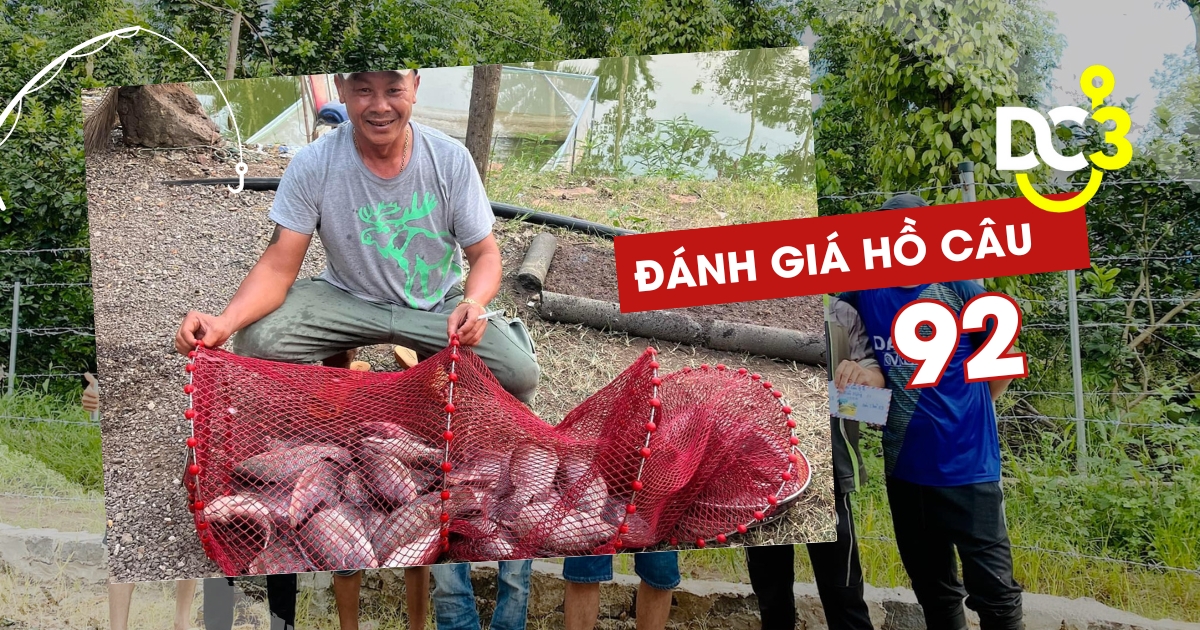 Đánh giá hồ câu dịch vụ 92