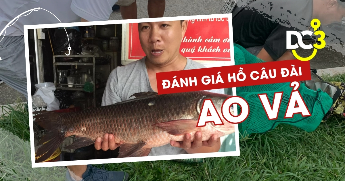 Đánh giá hồ câu dịch vụ Ao Vả
