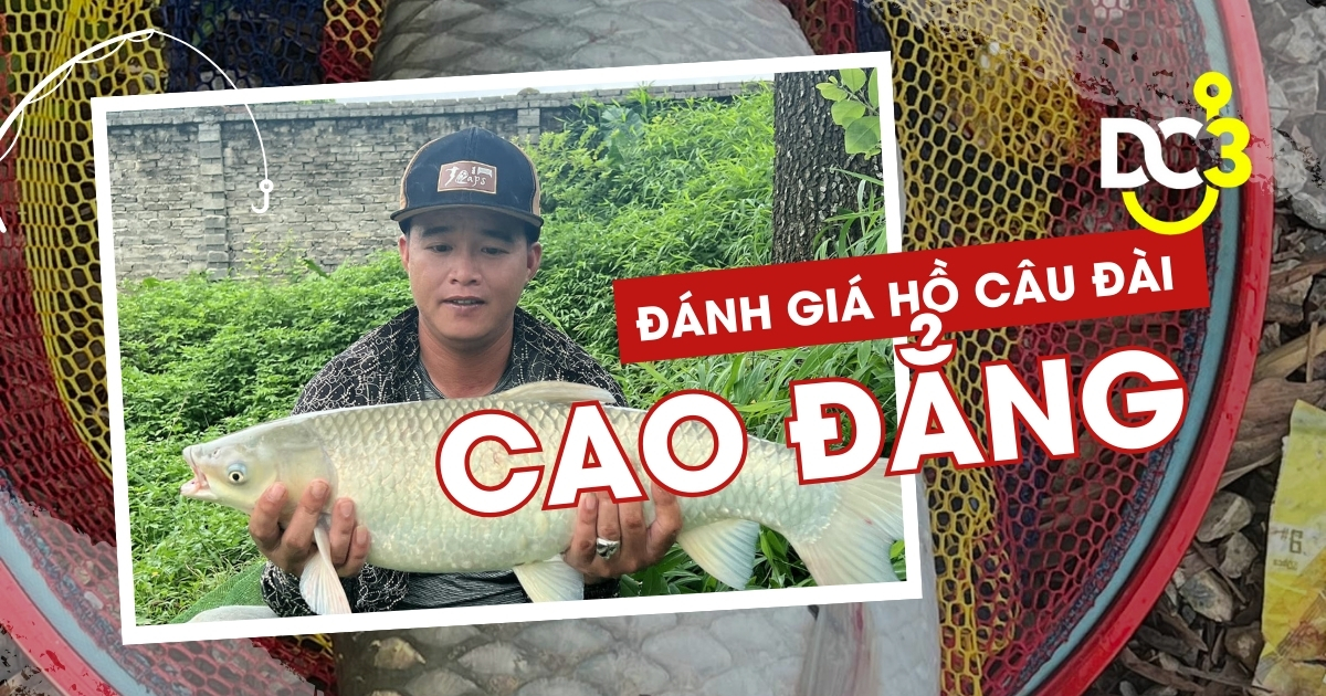 Đánh giá hồ câu dịch vụ Cao Đẳng