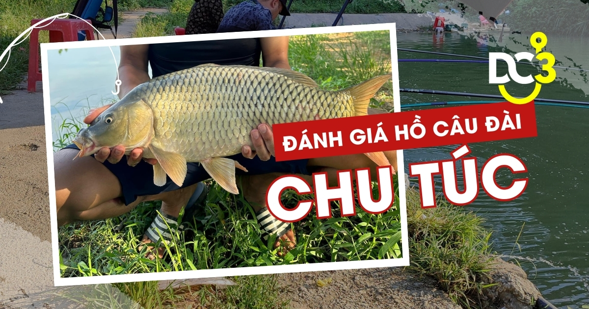 Đánh giá hồ câu dịch vụ Chu Túc