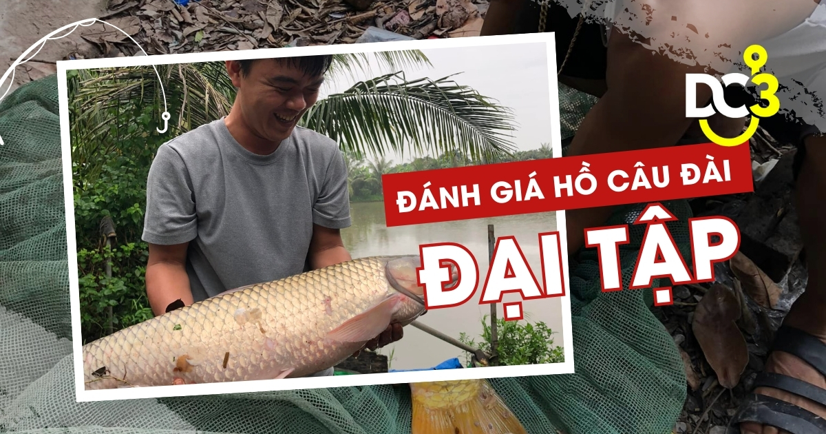 Đánh giá hồ câu dịch vụ Đại Tập