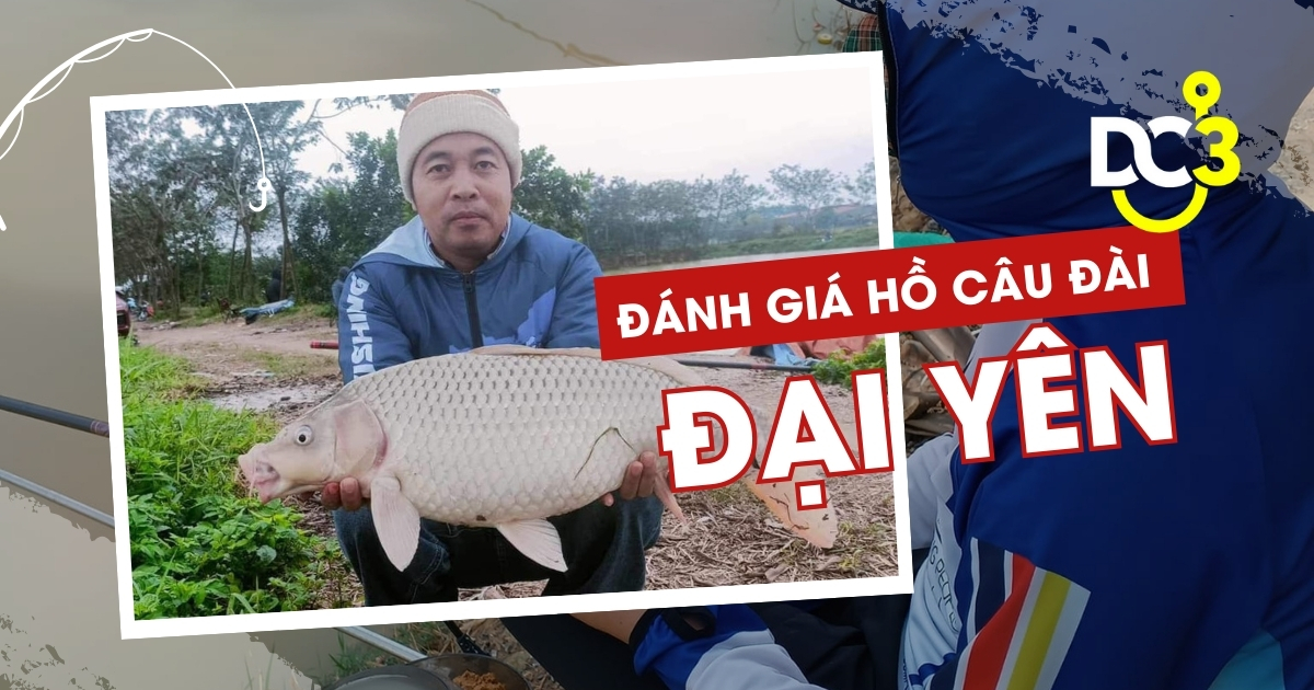 Đánh giá hồ câu dịch vụ Đại Yên