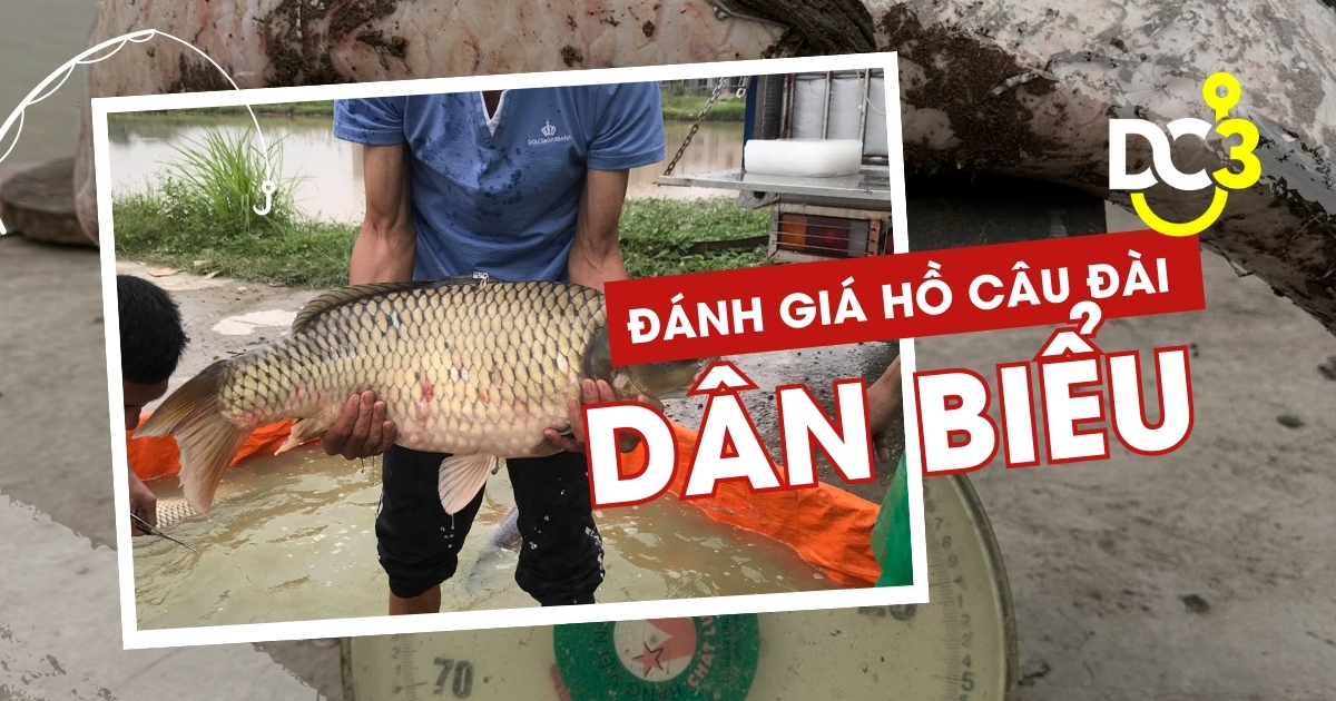 Đánh giá hồ câu dịch vụ Dân Biểu