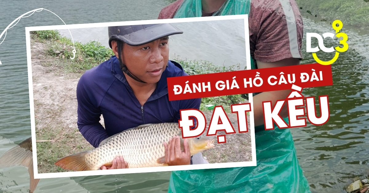 Đánh giá hồ câu dịch vụ Đạt Kều