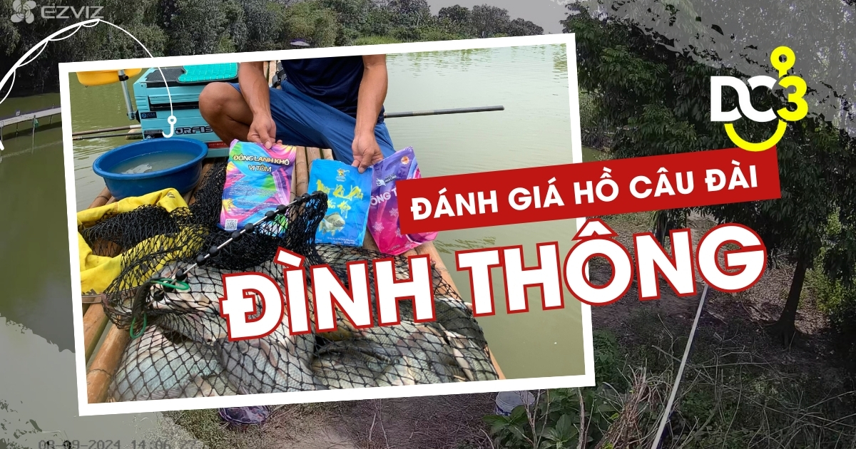 Đánh giá hồ câu dịch vụ Đình Thông