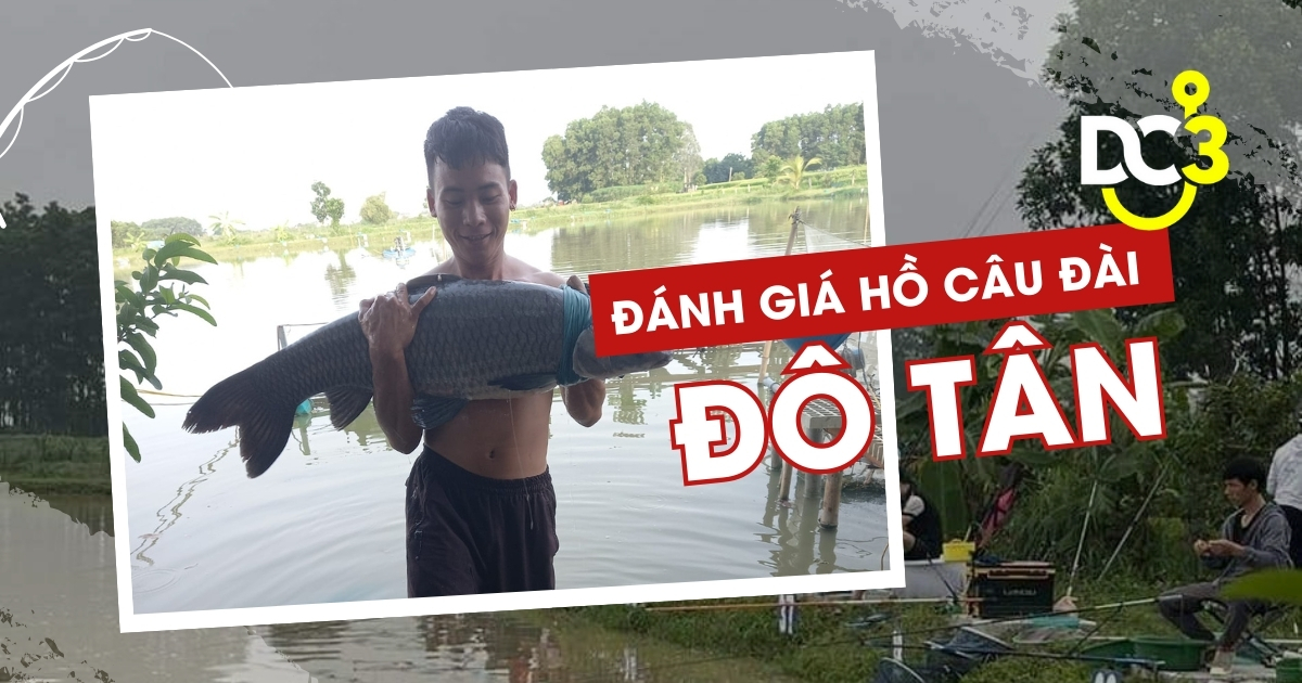 Đánh giá hồ câu dịch vụ Đô Tân