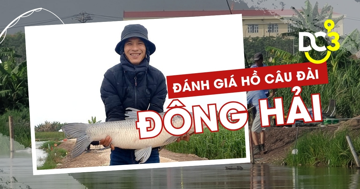 Đánh giá hồ câu dịch vụ Đông Hải
