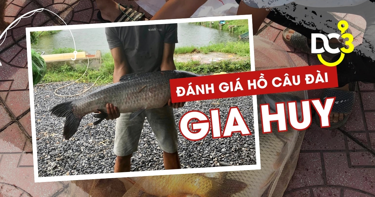 Đánh giá hồ câu dịch vụ Gia Huy