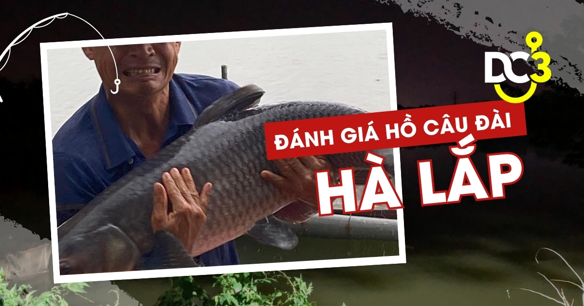 Đánh giá hồ câu dịch vụ Hà Lắp