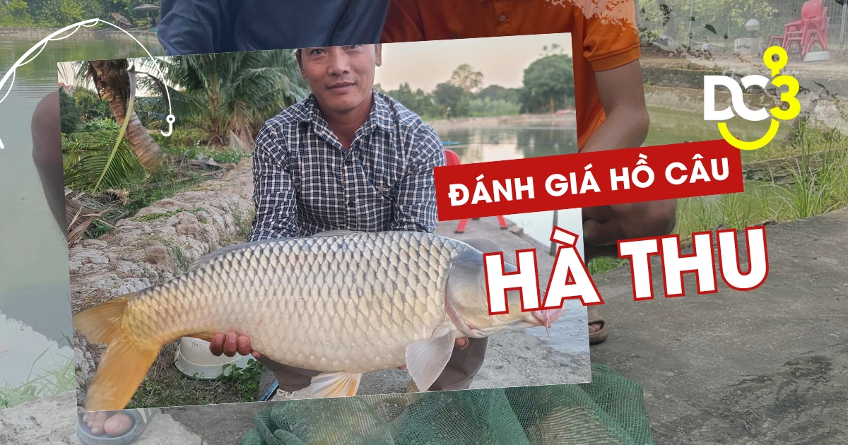 Đánh giá hồ câu dịch vụ Hà Thu