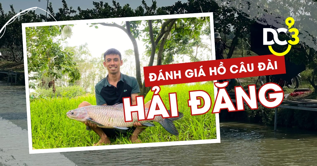Đánh giá hồ câu dịch vụ Hải Đăng