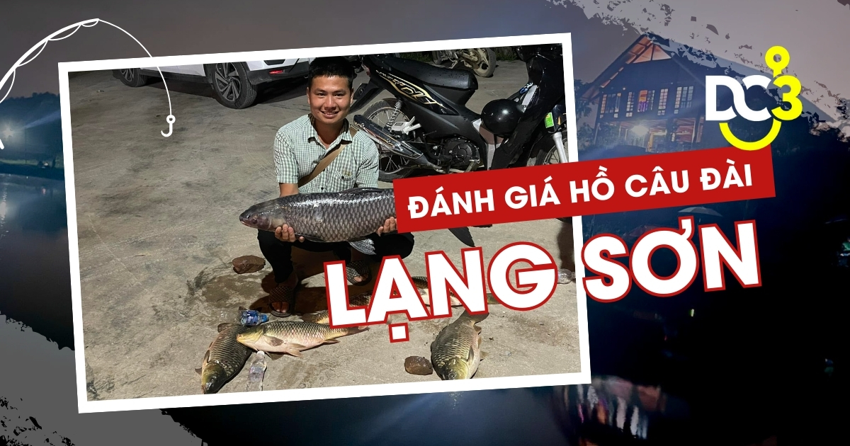 Đánh giá hồ câu dịch vụ Lạng Sơn