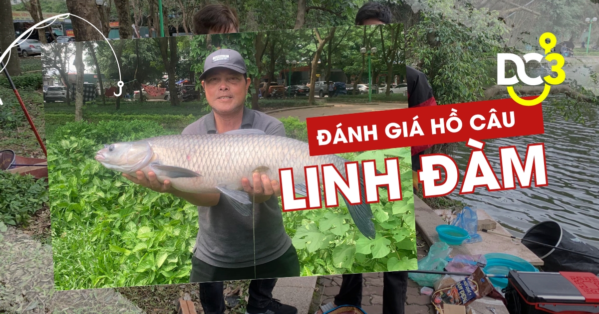 Đánh giá hồ câu dịch vụ Linh Đàm