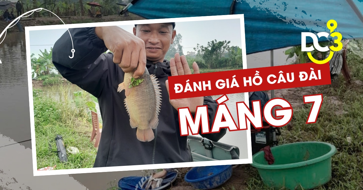 Đánh giá hồ câu dịch vụ Máng 7