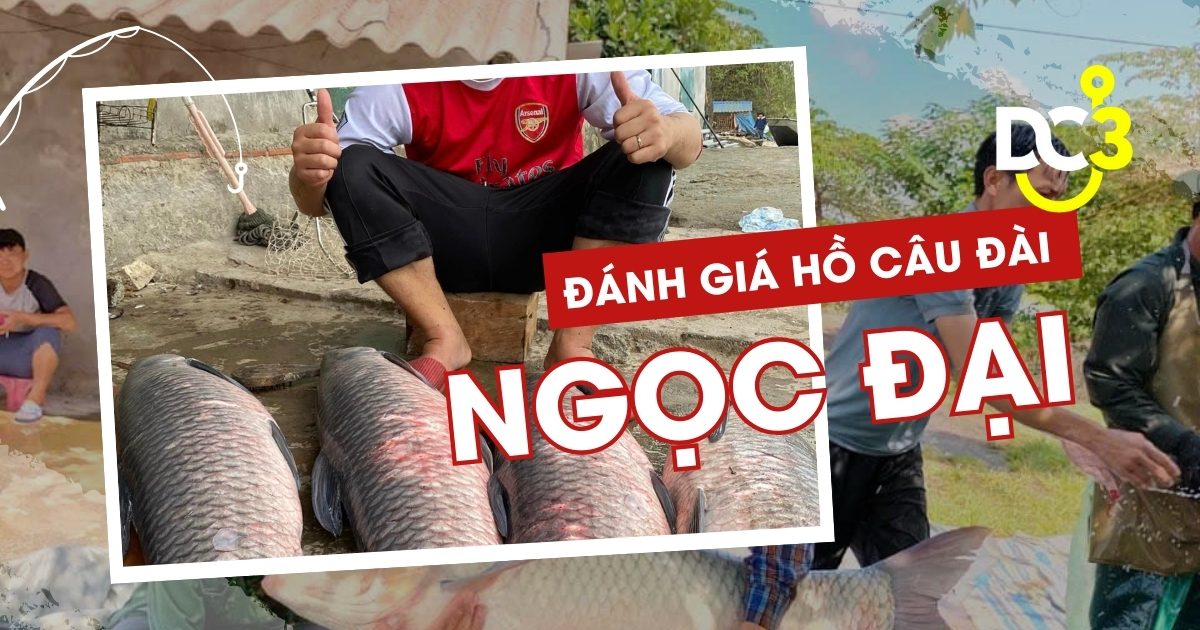 Đánh giá hồ câu dịch vụ Ngọc Đại