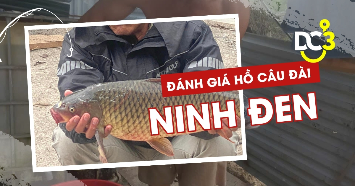 Đánh giá hồ câu dịch vụ Ninh Đen