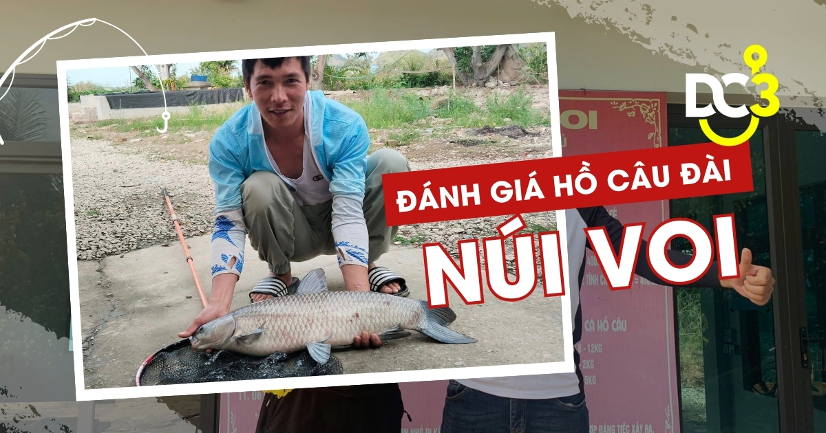 Đánh giá hồ câu dịch vụ Núi Voi