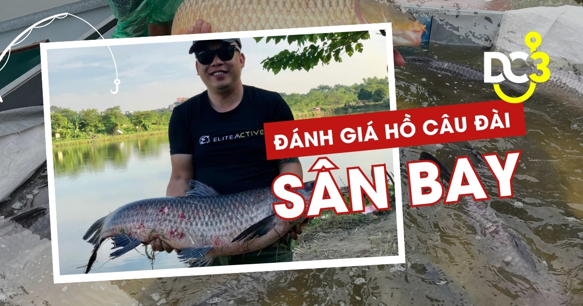 Đánh giá hồ câu Sân Bay