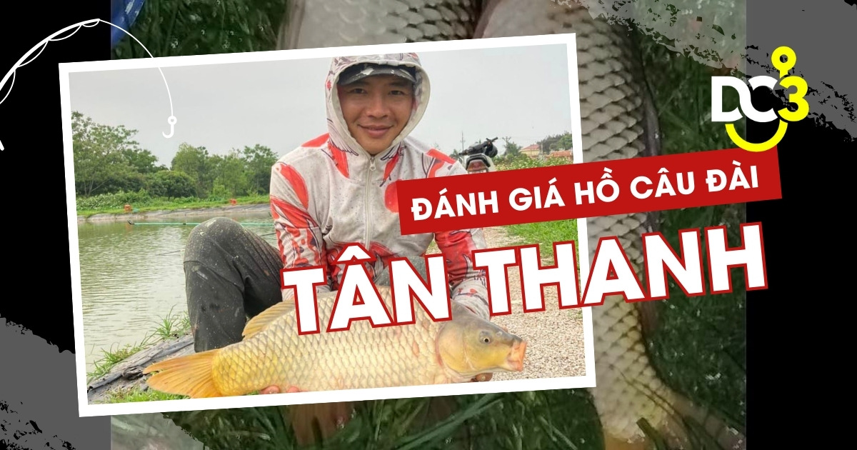 Đánh giá hồ câu dịch vụ Tân Thanh