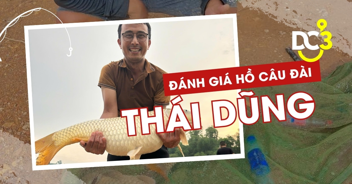 Đánh giá hồ câu dịch vụ Thái Dũng