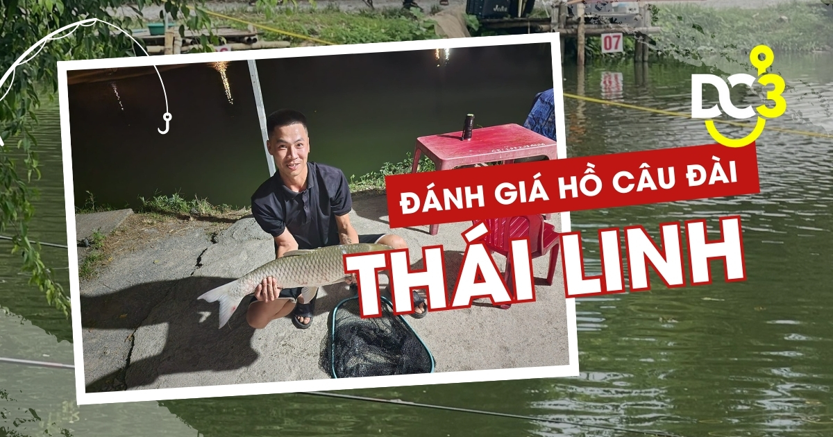 Đánh giá hồ câu dịch vụ Thái Linh