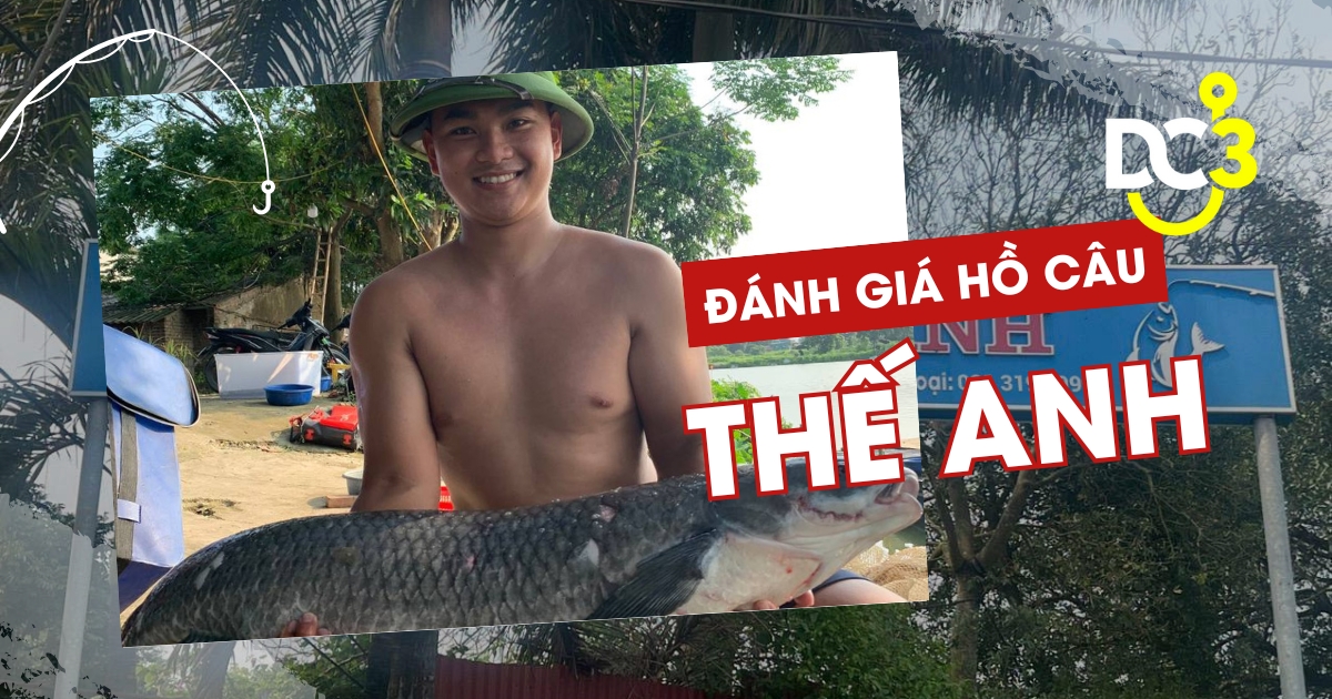 Đánh giá hồ câu dịch vụ Thế Anh