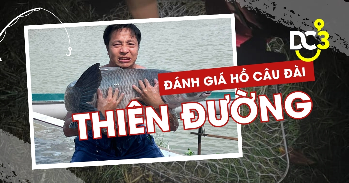 Đánh giá hồ câu dịch vụ Thiên Đường