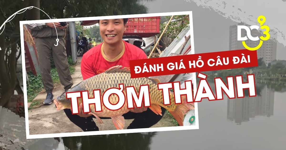 Đánh giá hồ câu dịch vụ Thơm Thành