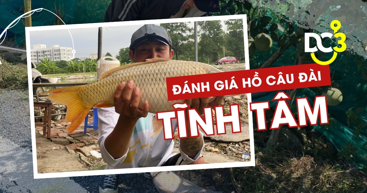 Đánh giá hồ câu dịch vụ Tĩnh Tâm