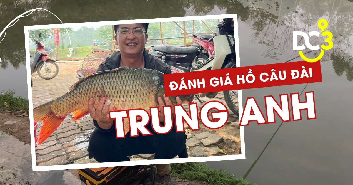 Đánh giá hồ câu dịch vụ Trung Anh