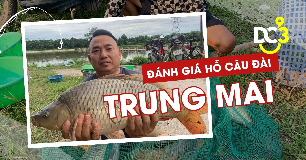 Đánh giá hồ câu dịch vụ Trung Mai