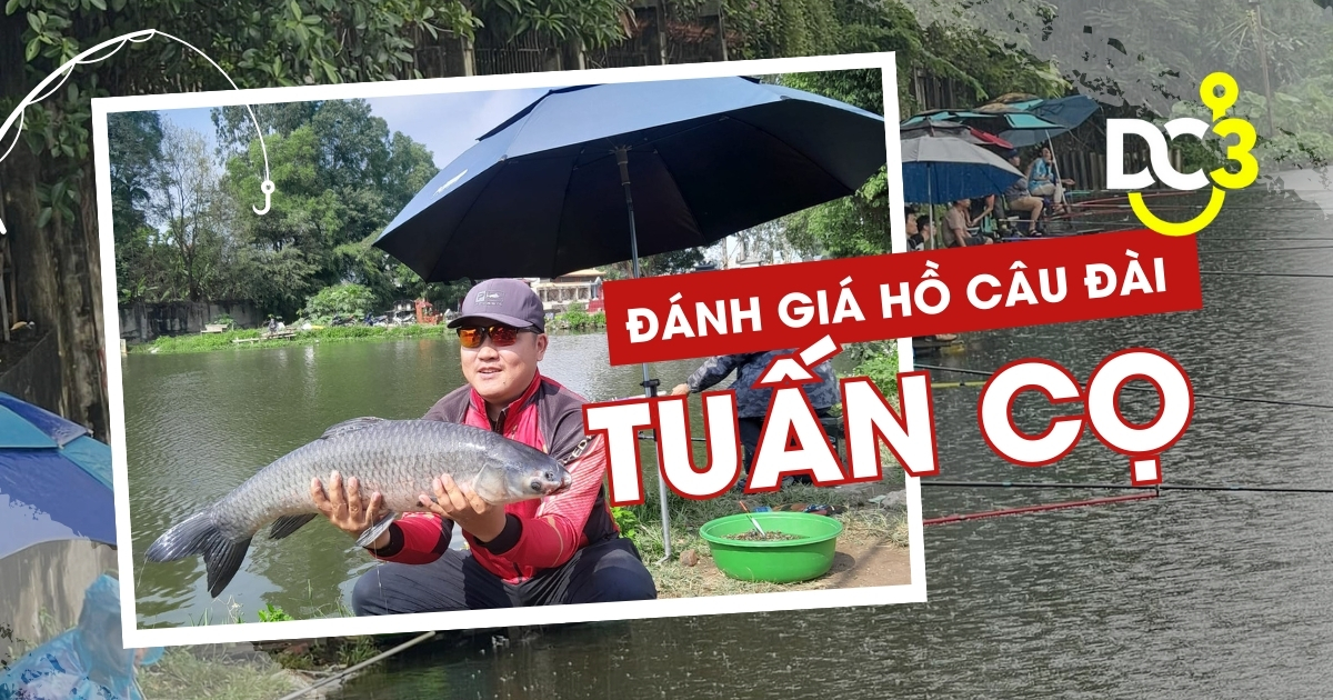Đánh giá hồ câu dịch vụ Tuấn Cọ