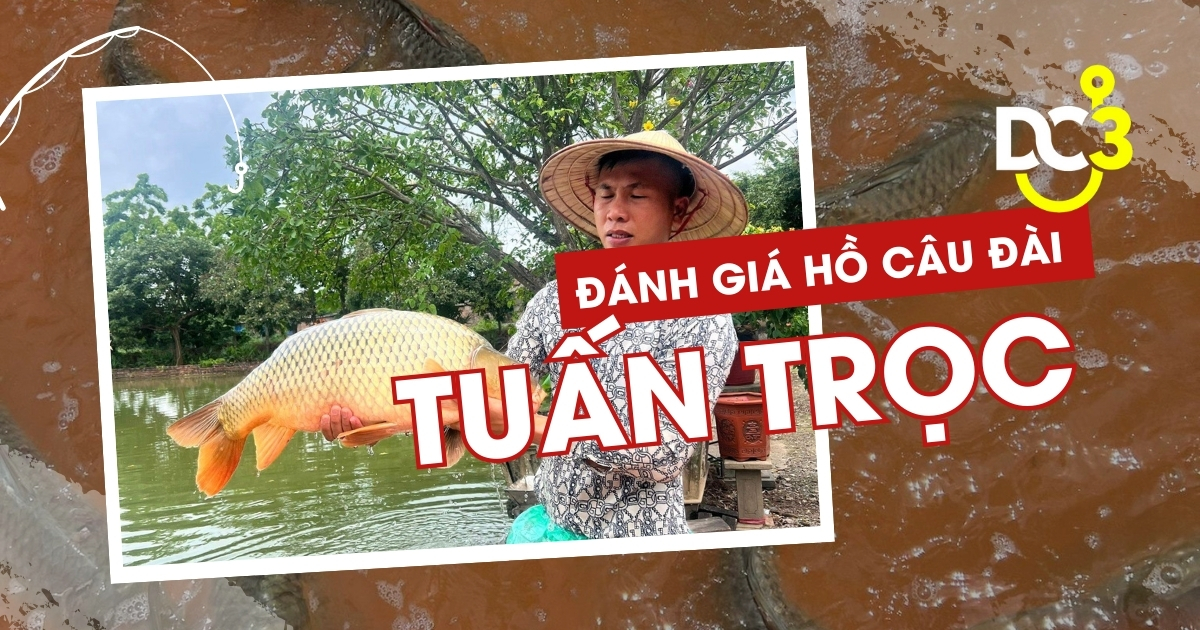 Đánh giá hồ câu dịch vụ Tuấn Trọc