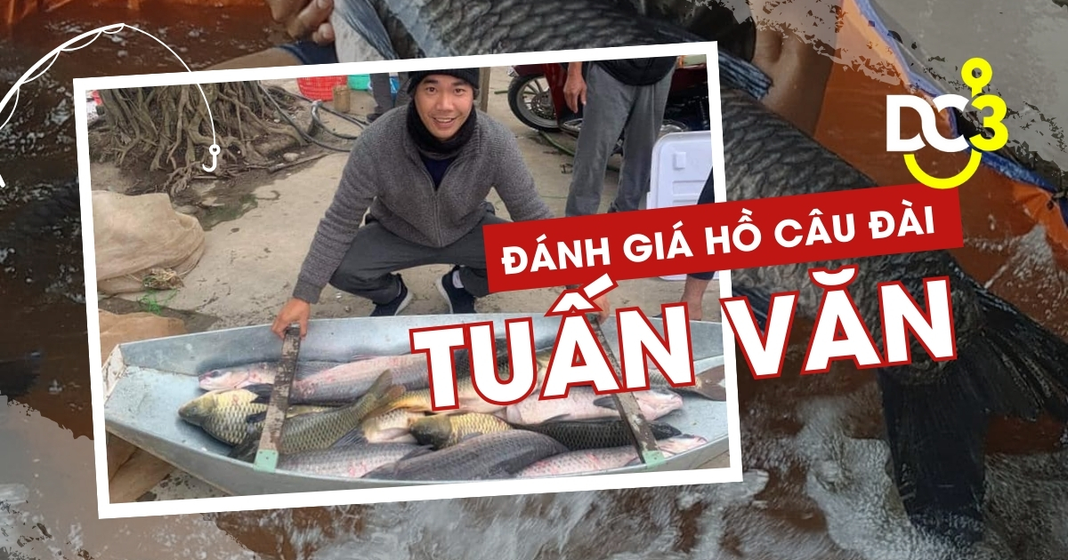 Đánh giá hồ câu dịch vụ Tuấn Văn