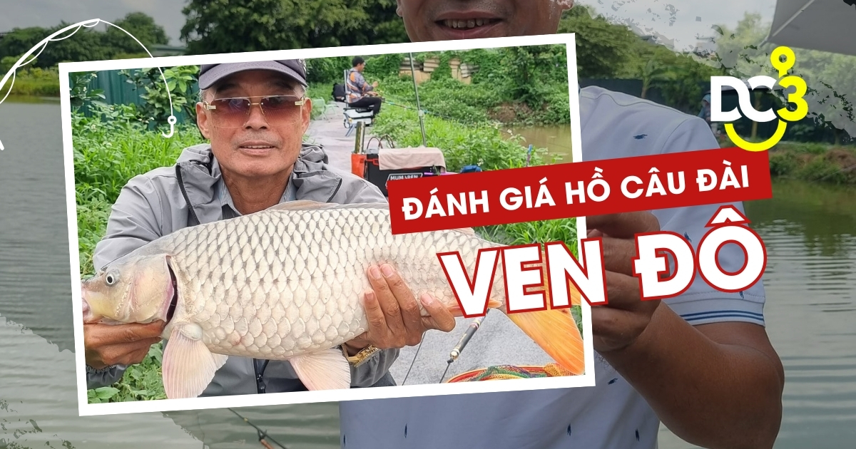 Đánh giá hồ câu dịch vụ Ven Đô