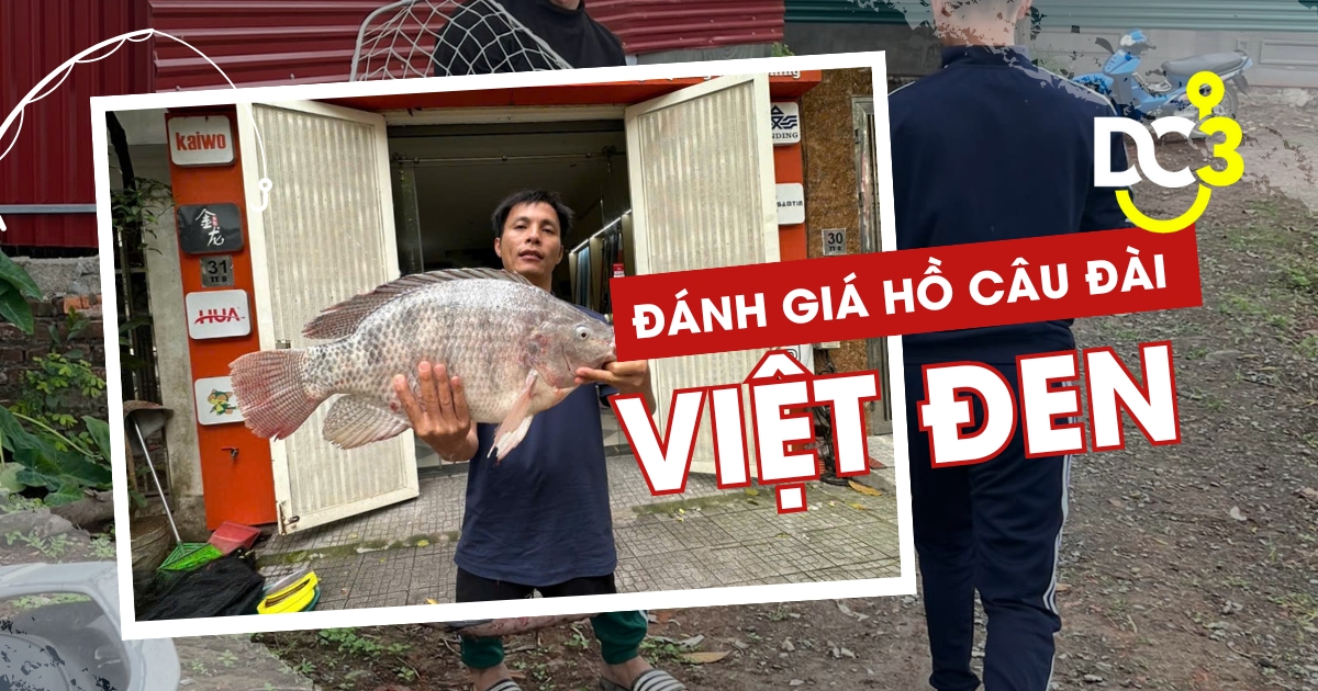 Đánh giá hồ câu dịch vụ Việt Đen