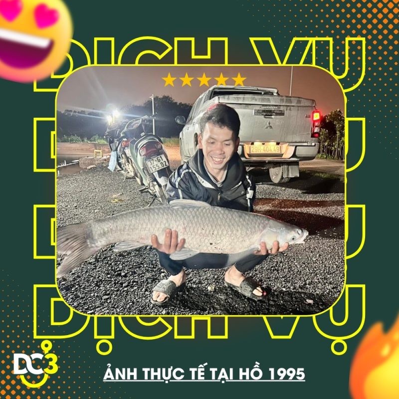 Dihcj vụ tiện ích hồ câu 1995
