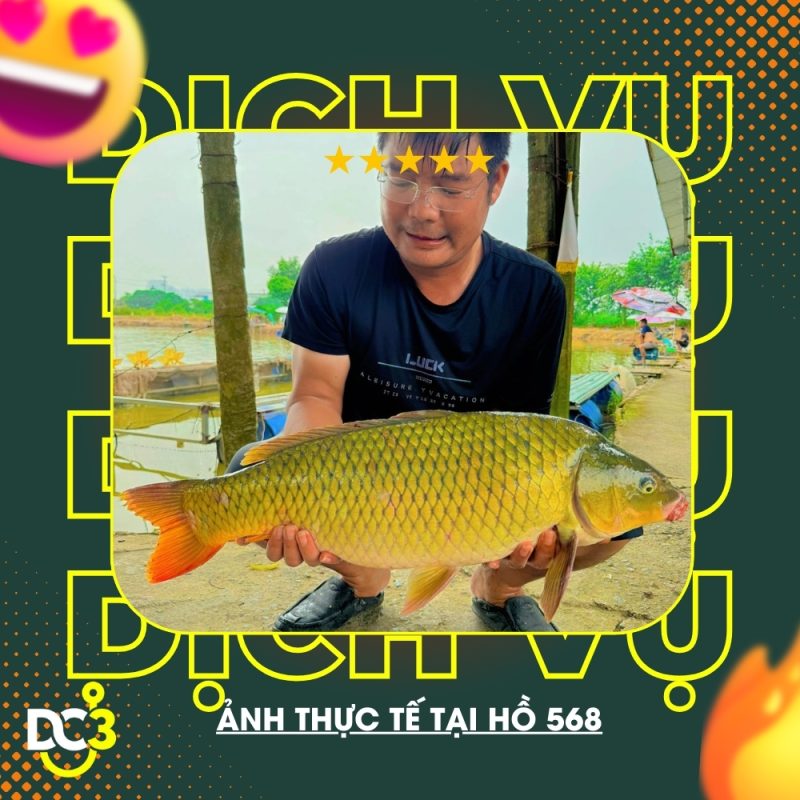 Dịch vụ tiện ích hồ câu 568