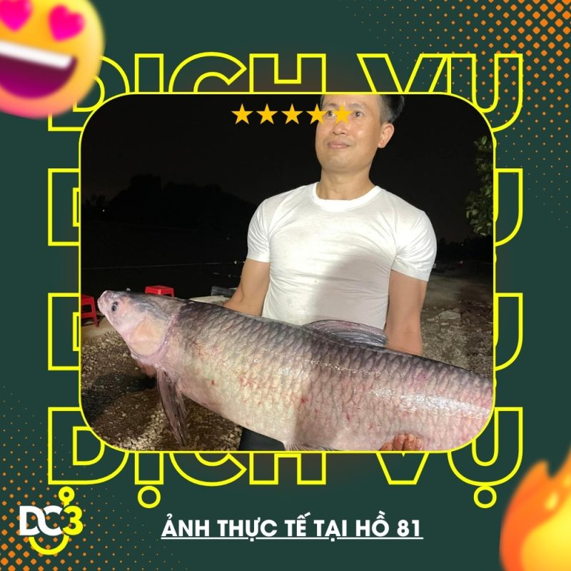 Dịch vụ tiện ích hồ câu 81