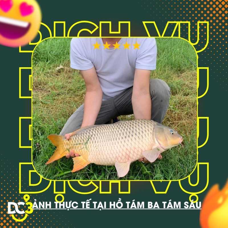 Dịch vụ tiện ích hồ câu 8386