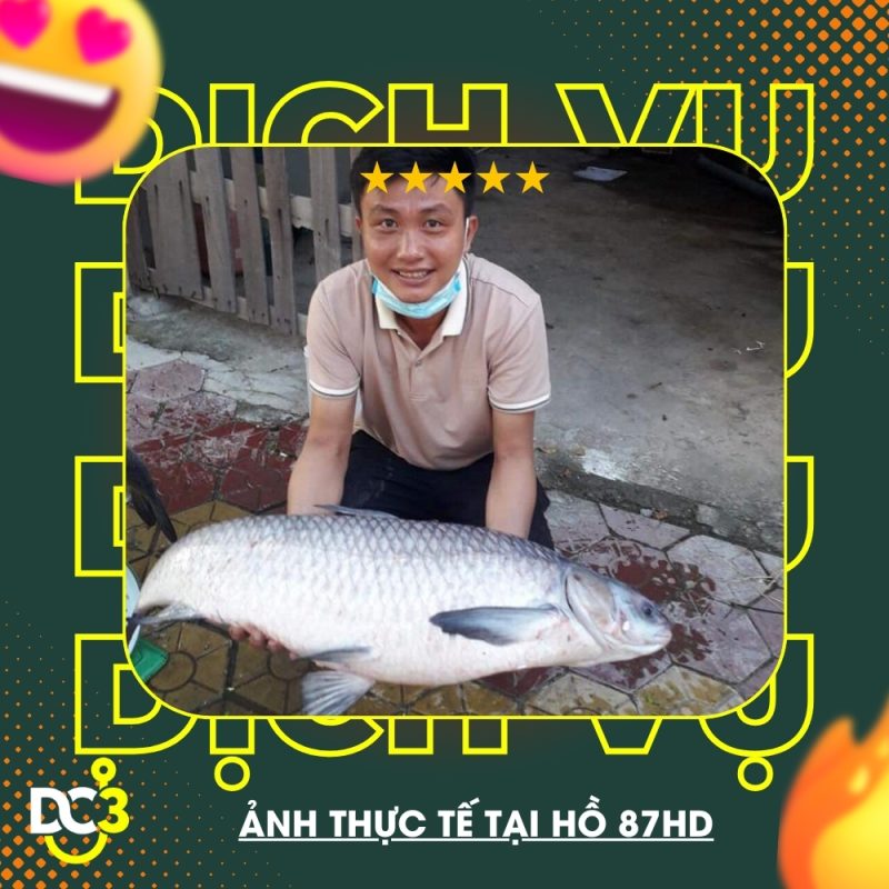 Dịch vụ tiện ích hồ câu 87HD