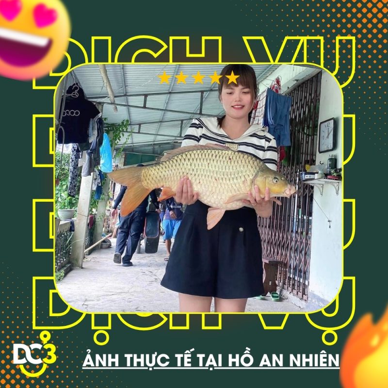 Dịch vụ tiện ích hồ câu An Nhiên